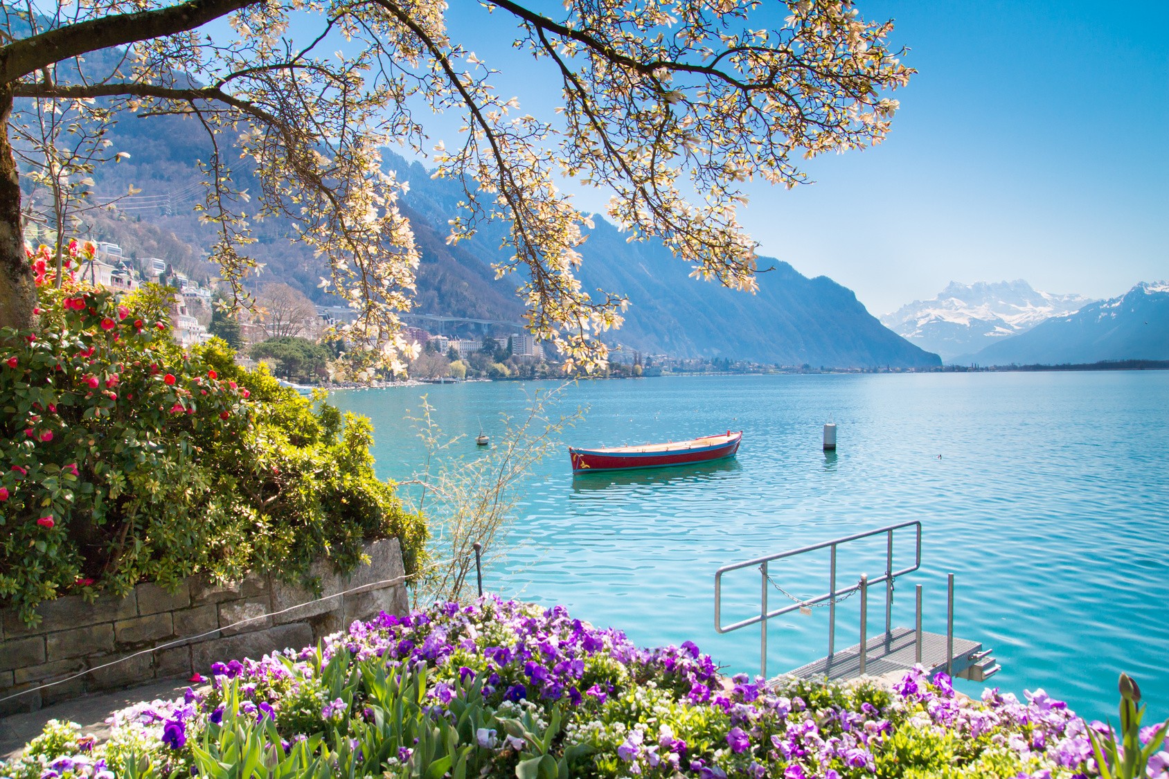 Purple flowers next to the blue water in the Mediterranean.