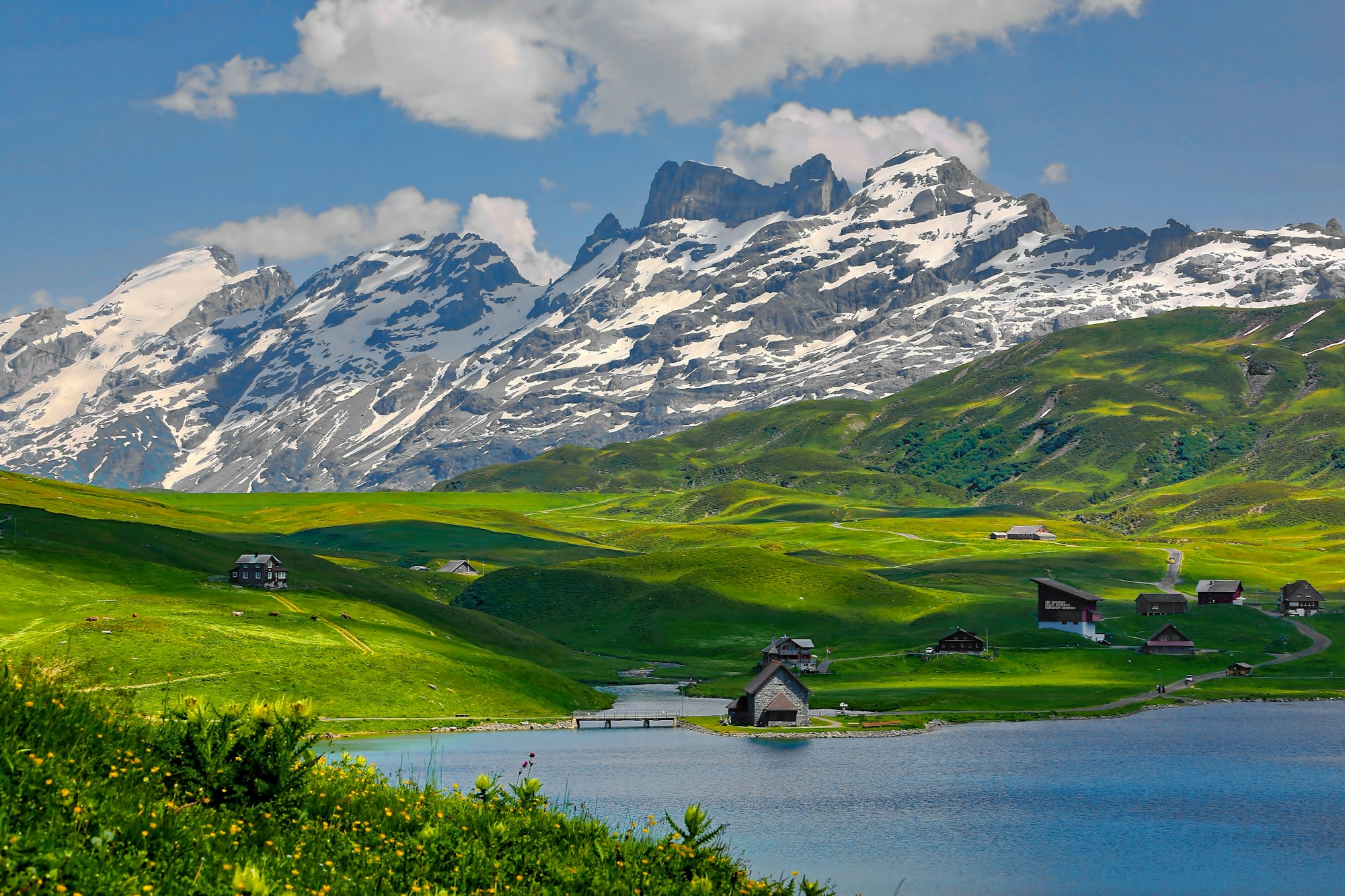 Green grassey hills with snow topped mountains in the distance.