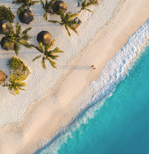 Aerial View of beach, with palm trees and turquois water