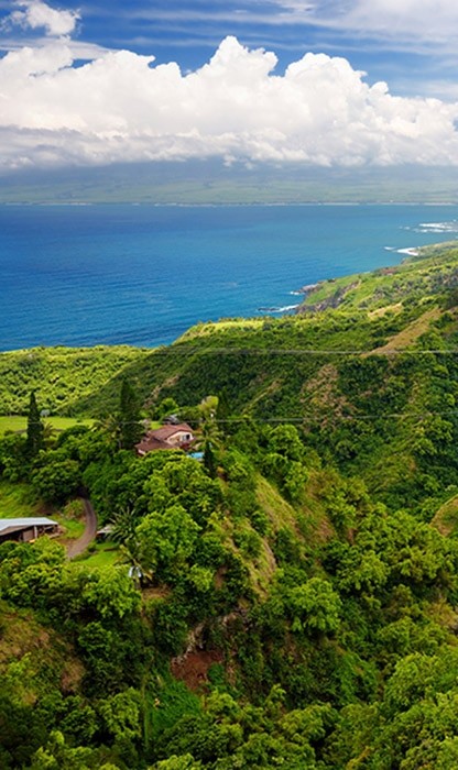 lucious green hill top view overlooking the ocean